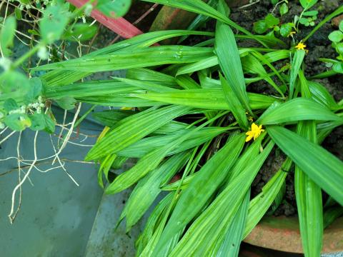 image96