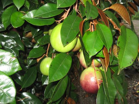image111