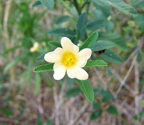 image182