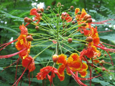 image173
