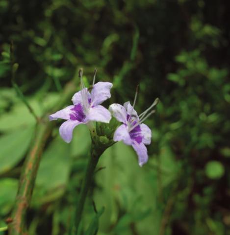 image220