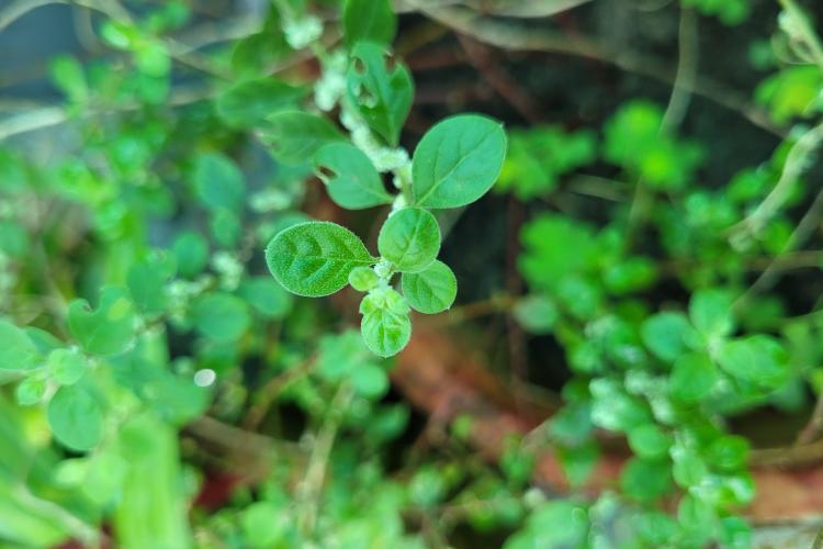 image95
