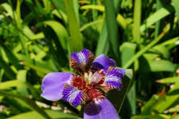 image177