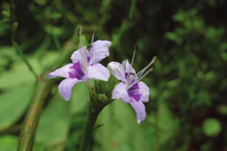 image220