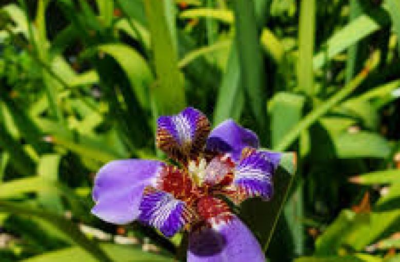image177