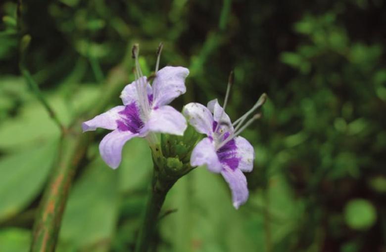 image220