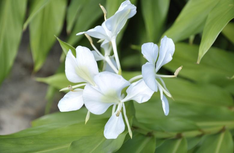 image248