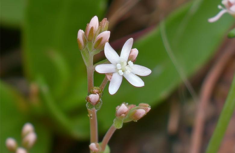 image250